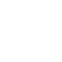 Accordion