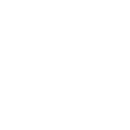 CWB Button