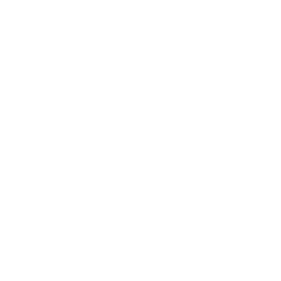 Document Icon