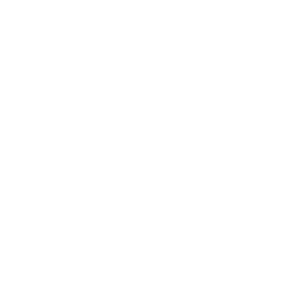 Video Icon